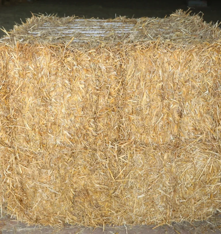 Blog 22 Wheat Hay vs Grass Hay – A Complete & Precise Guide