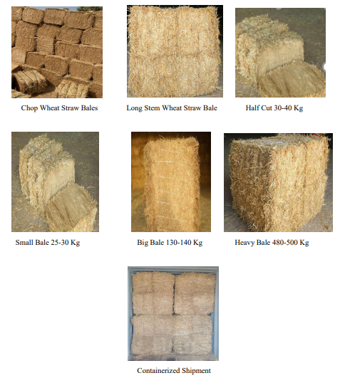 wheat straw bales