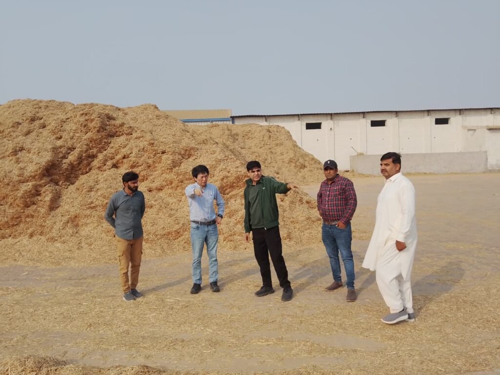 WhatsApp Image 2025 11 28 at 12.57.02