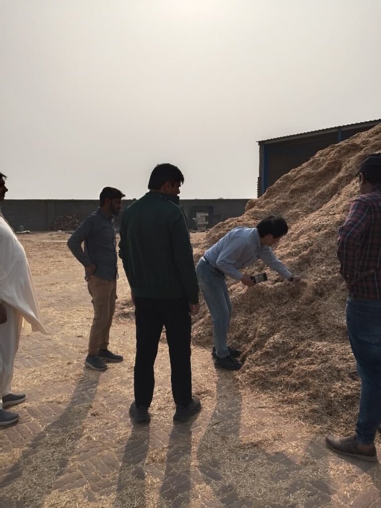 WhatsApp Image 2025 11 28 at 12.57.03