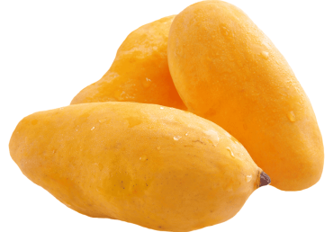 How can You Export Mangoes From Pakistan?