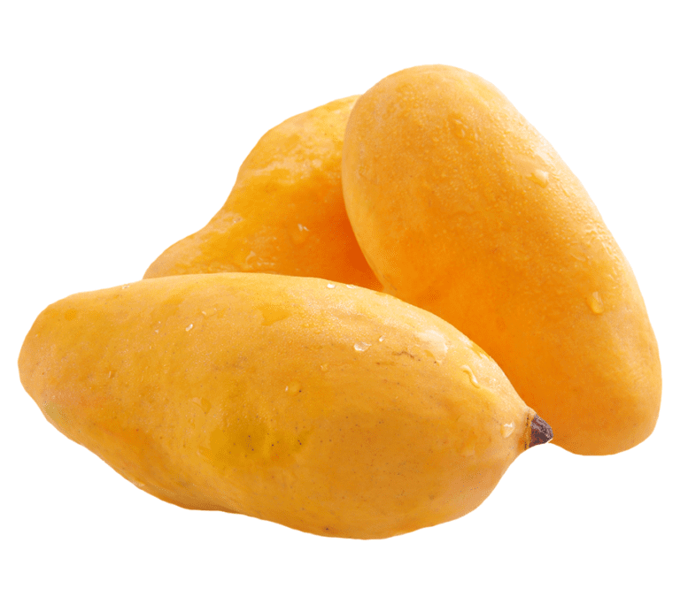 Fresh Mangoes | Pakistani Mangoes | Saremco International