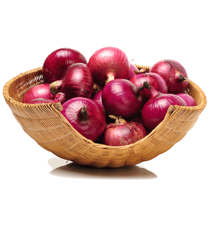 How Can I Export Onion From Pakistan?