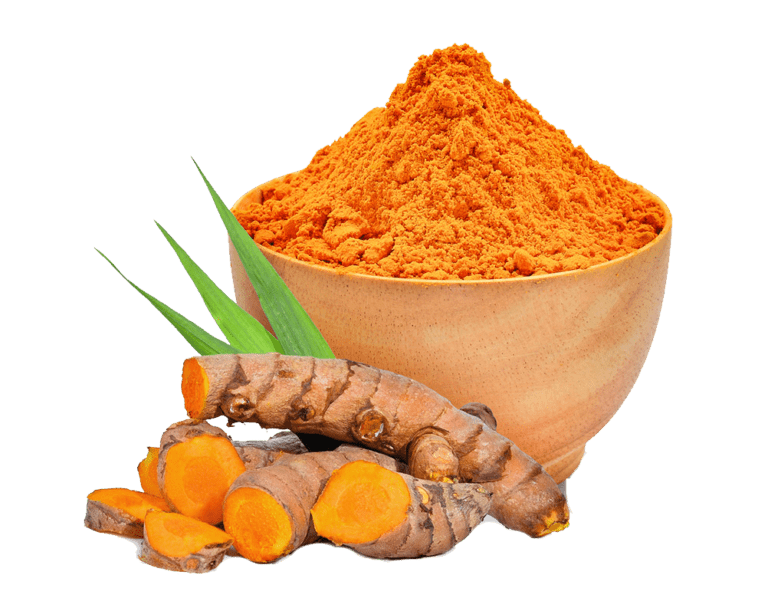 Turmeric Powder Saremco International