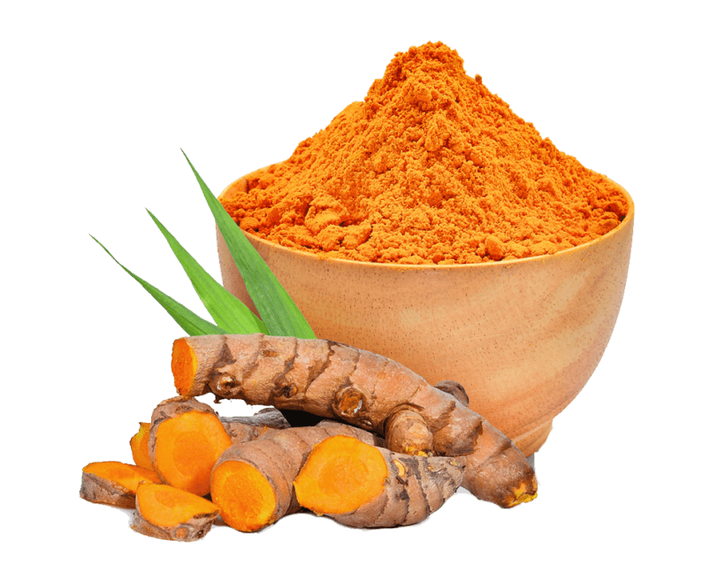 Turmeric Powder | Turmeric Exporters in Pakistan | Saremco