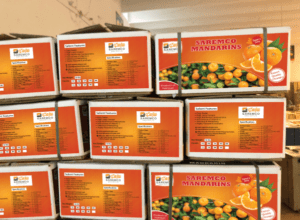 How to find the best orange exporter in Pakistan?