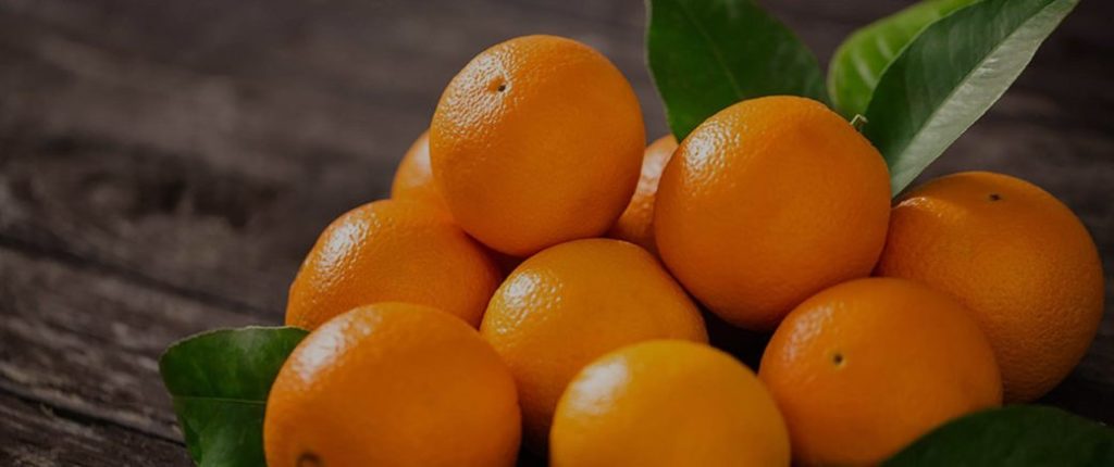 HOW TO FIND THE BEST ORANGE EXPORTER IN PAKISTAN