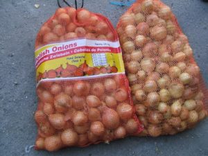 HOW TO FIND THE BEST ONION EXPORTERS IN PAKISTAN