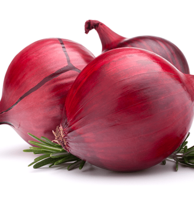 Top 4 Onion Exporters in Pakistan