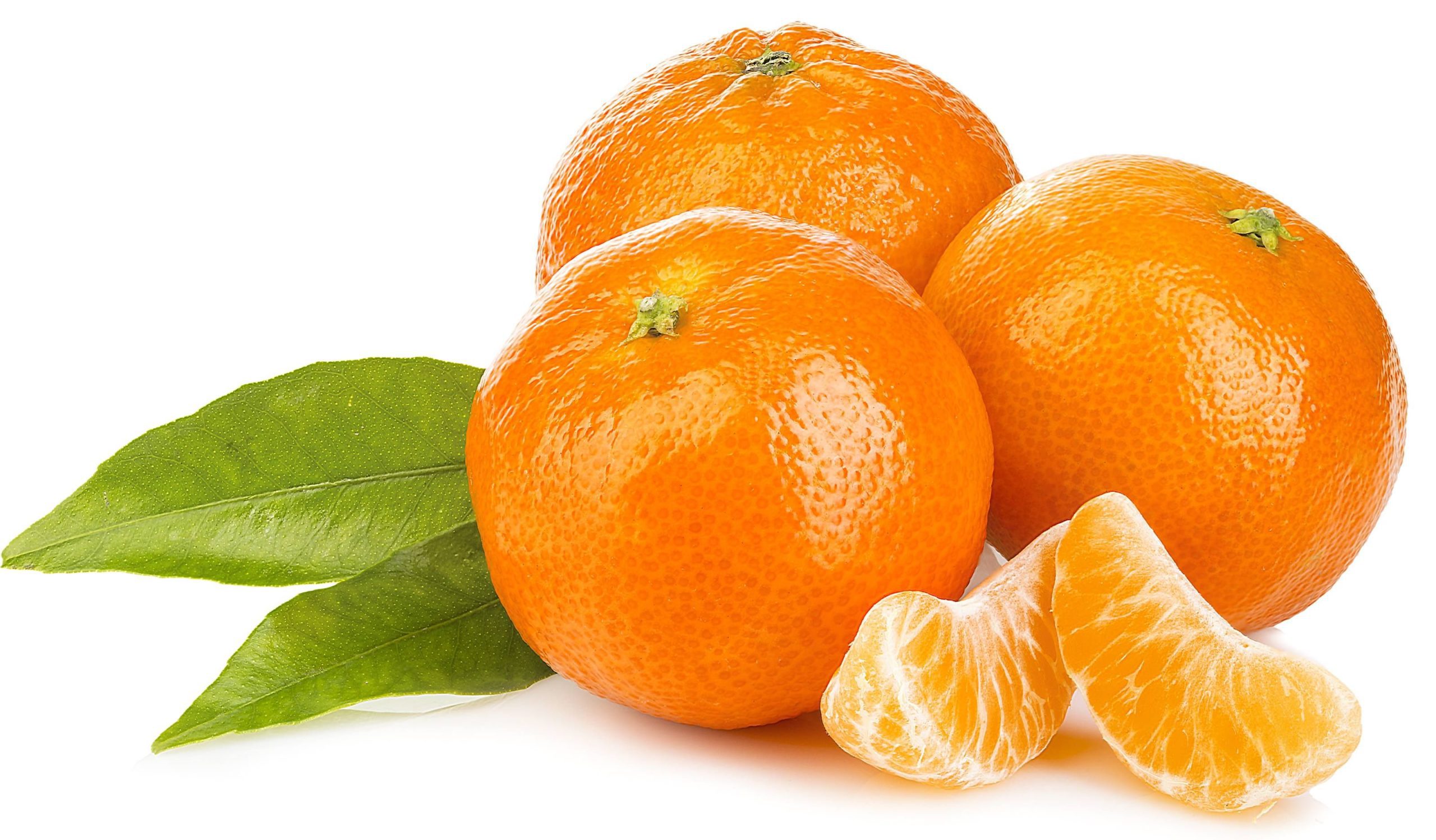 Mandarin Kinnow Orange exporters | Saremco International | Bulk buy
