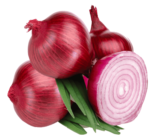 Find Fresh Onion Exporters Online – Saremco International