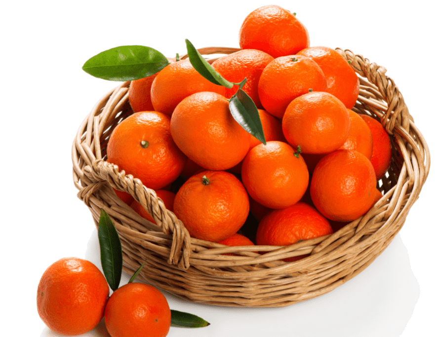 How trade of orange is done in Pakistan? – Saremco International