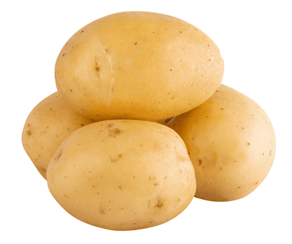 Potato exporters in Pakistan