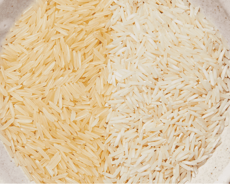 rice exporters