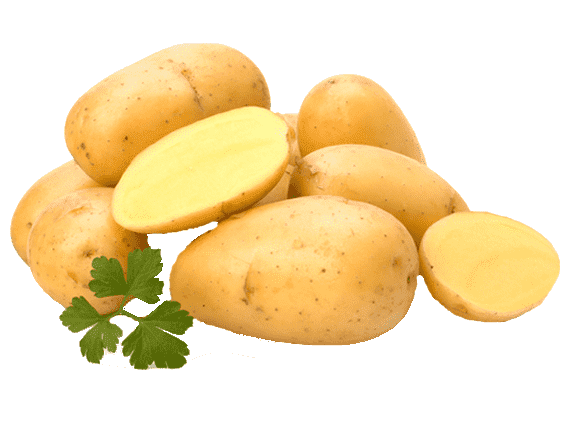 Fresh Potatoes