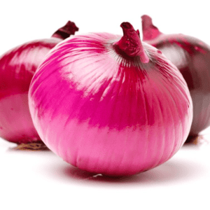 onion suppliers in pakistan Saremco International