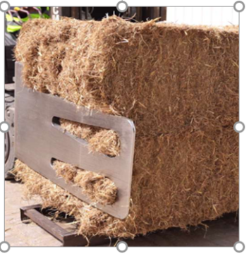 Rice Straw vs Wheat Straw- Complete Comparison - Saremco International