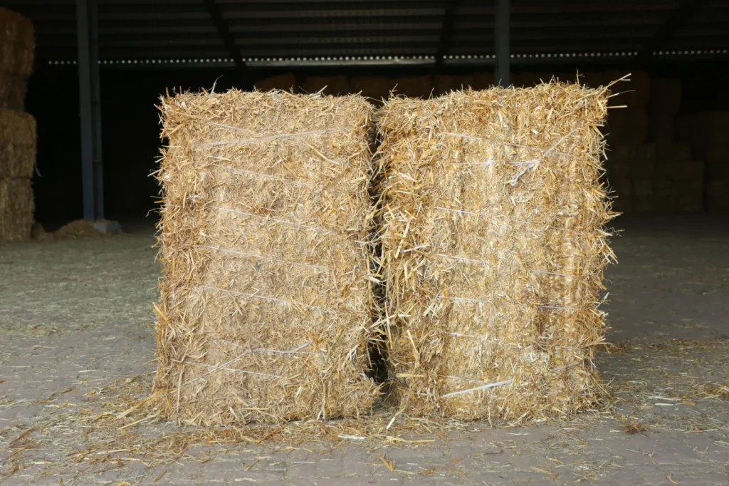 Rice Straw Uses: 100% Reliable Solutions from an Agricultural Byproduct 3 Rice Straw Uses
