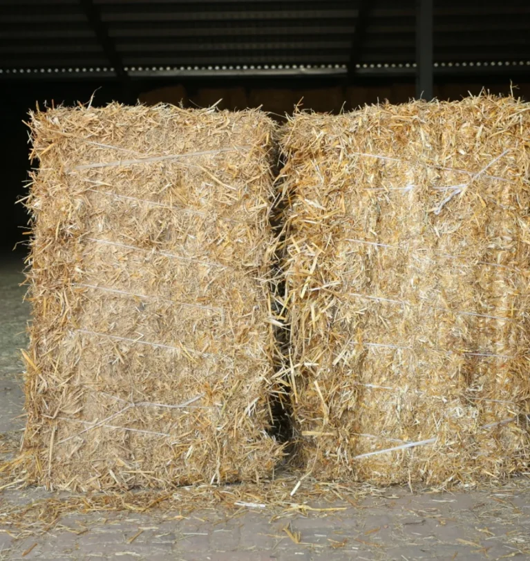 Rice Straw Uses: 100% Reliable Solutions from an Agricultural Byproduct