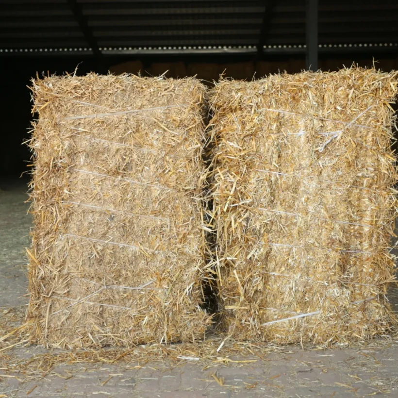 Rice Straw Uses