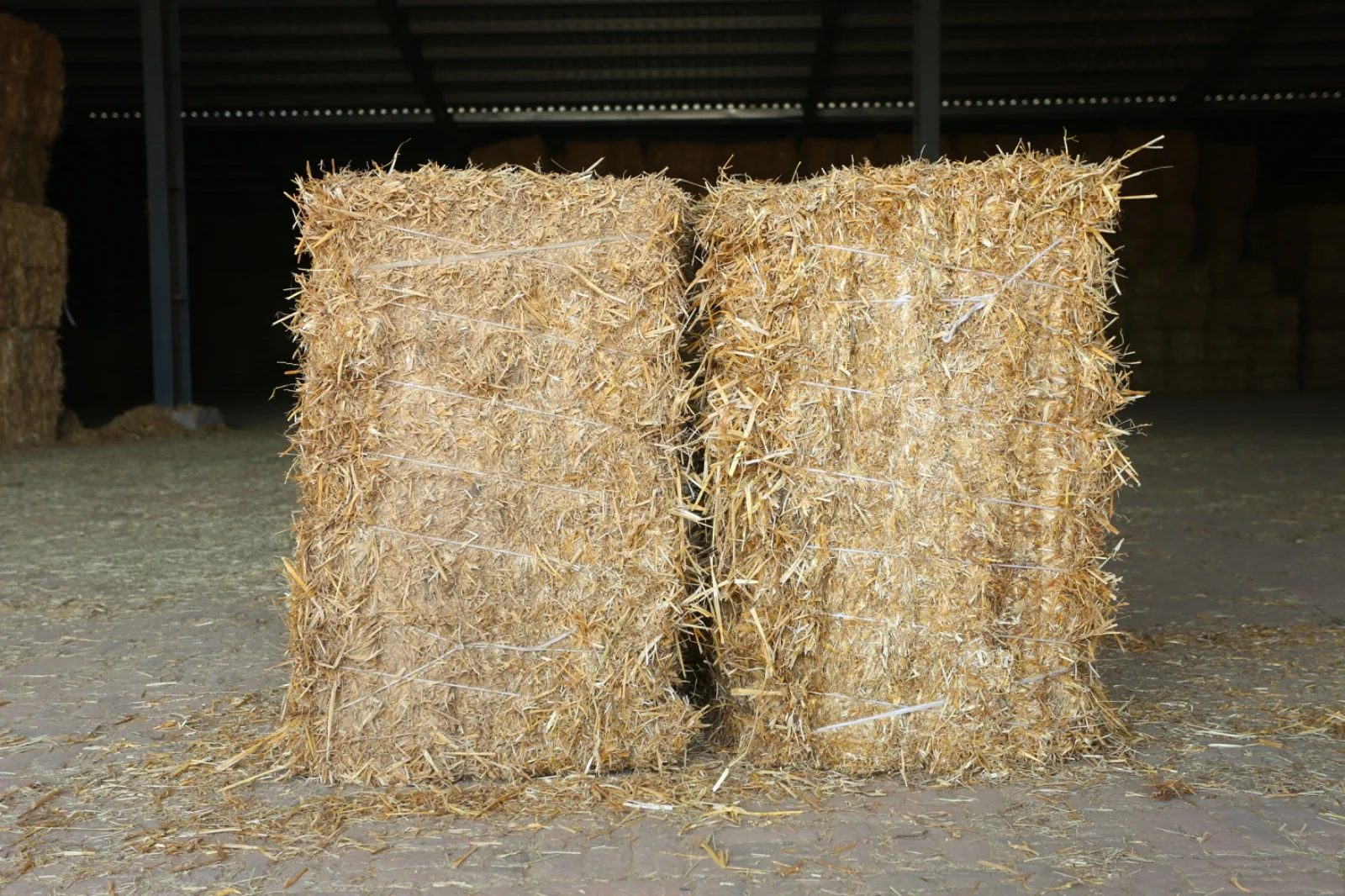 Rice Straw Uses - Saremco International