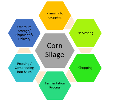 saremco-plant-productivity-growth-chart.png