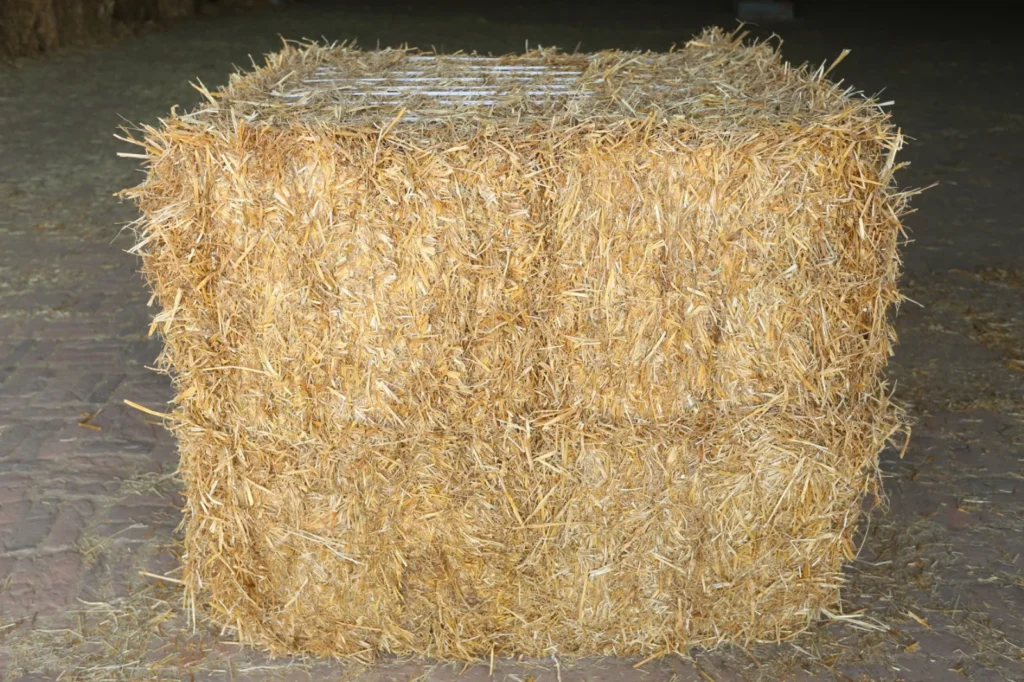 wheat straw final image 1