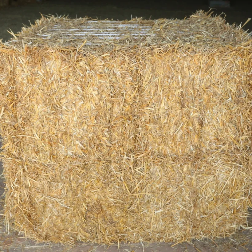 wheat straw final image 1