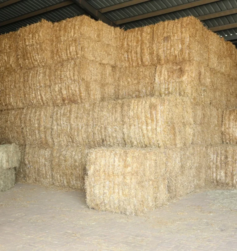 Wheat Straw Calorific Value and Its Importance in Energy Production