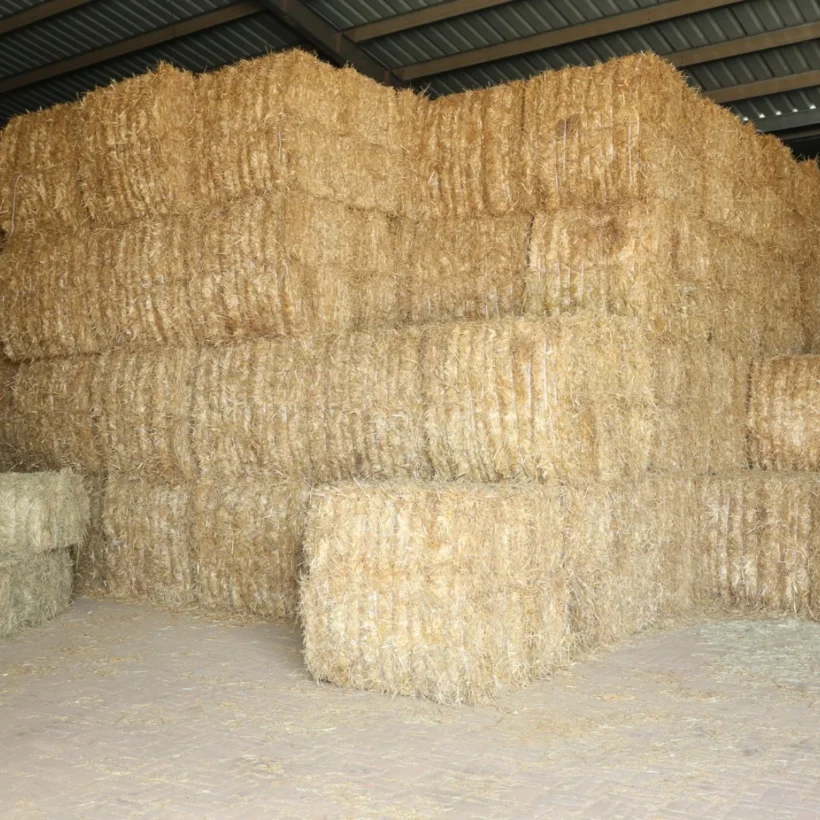 wheat straw stock final 1