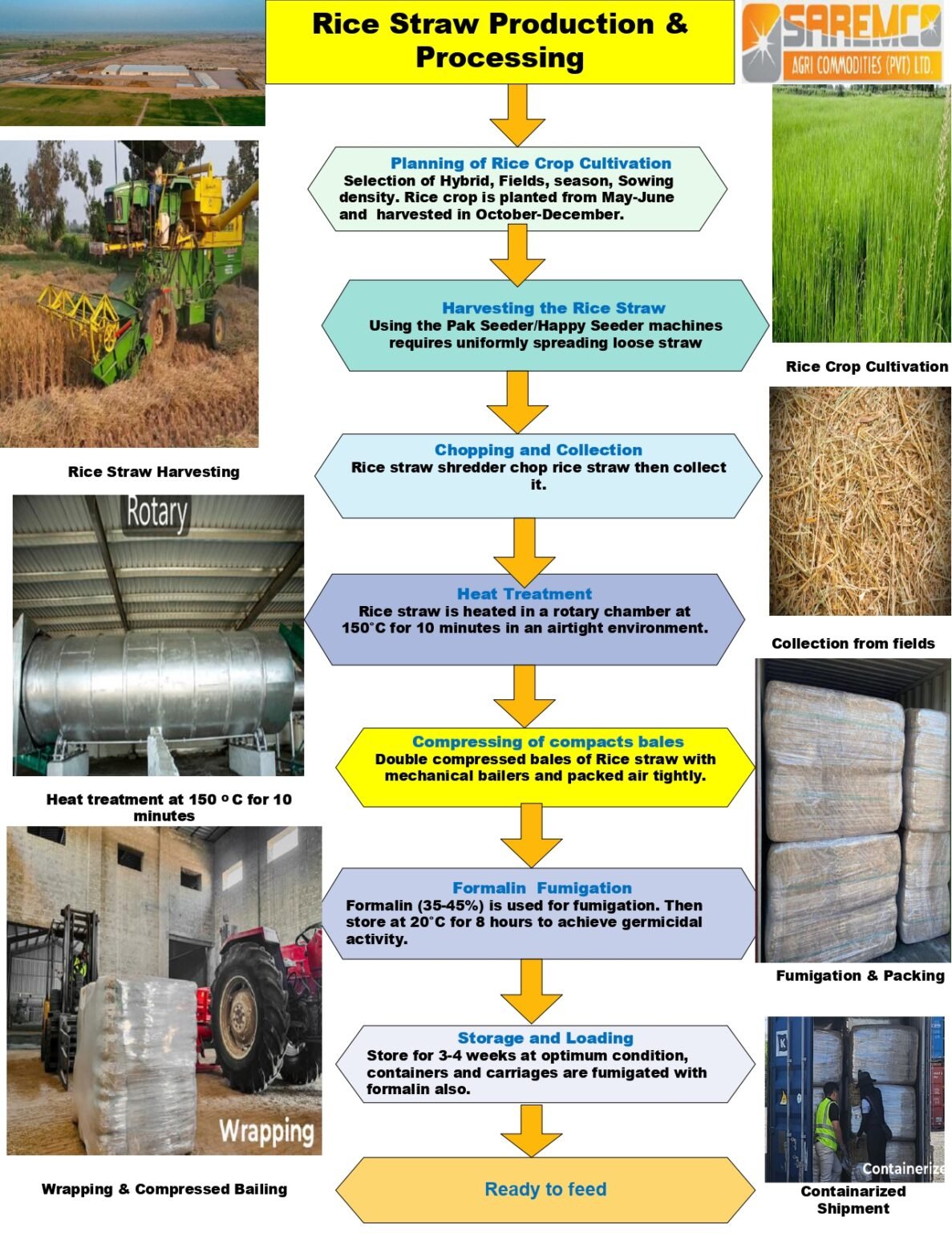 Rice Straw Hay | Rice straw Exporters in Pakistan | Saremco
