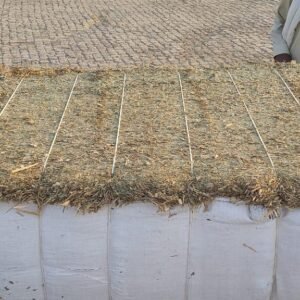 Maize Silage Export from Pakistan