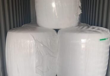 Home 20 Maize Crop Season in Pakistan: A Complete Guide