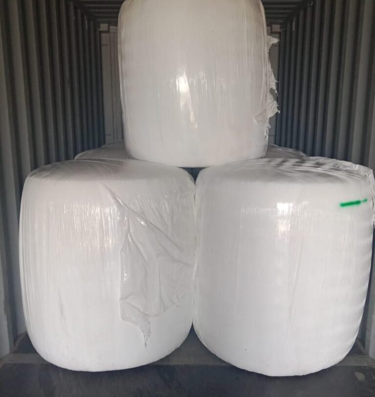 Maize Crop Season in Pakistan: A Complete Guide