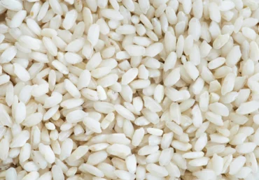 How Rice Grains Made? From Seed to Harvest