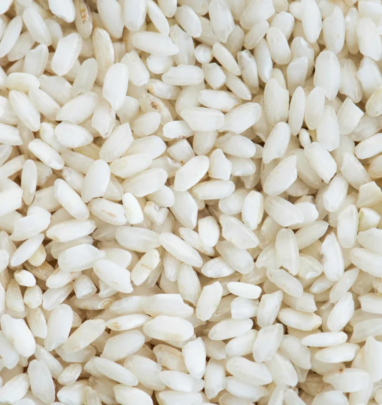 Short Grain Rice – The Real Strength