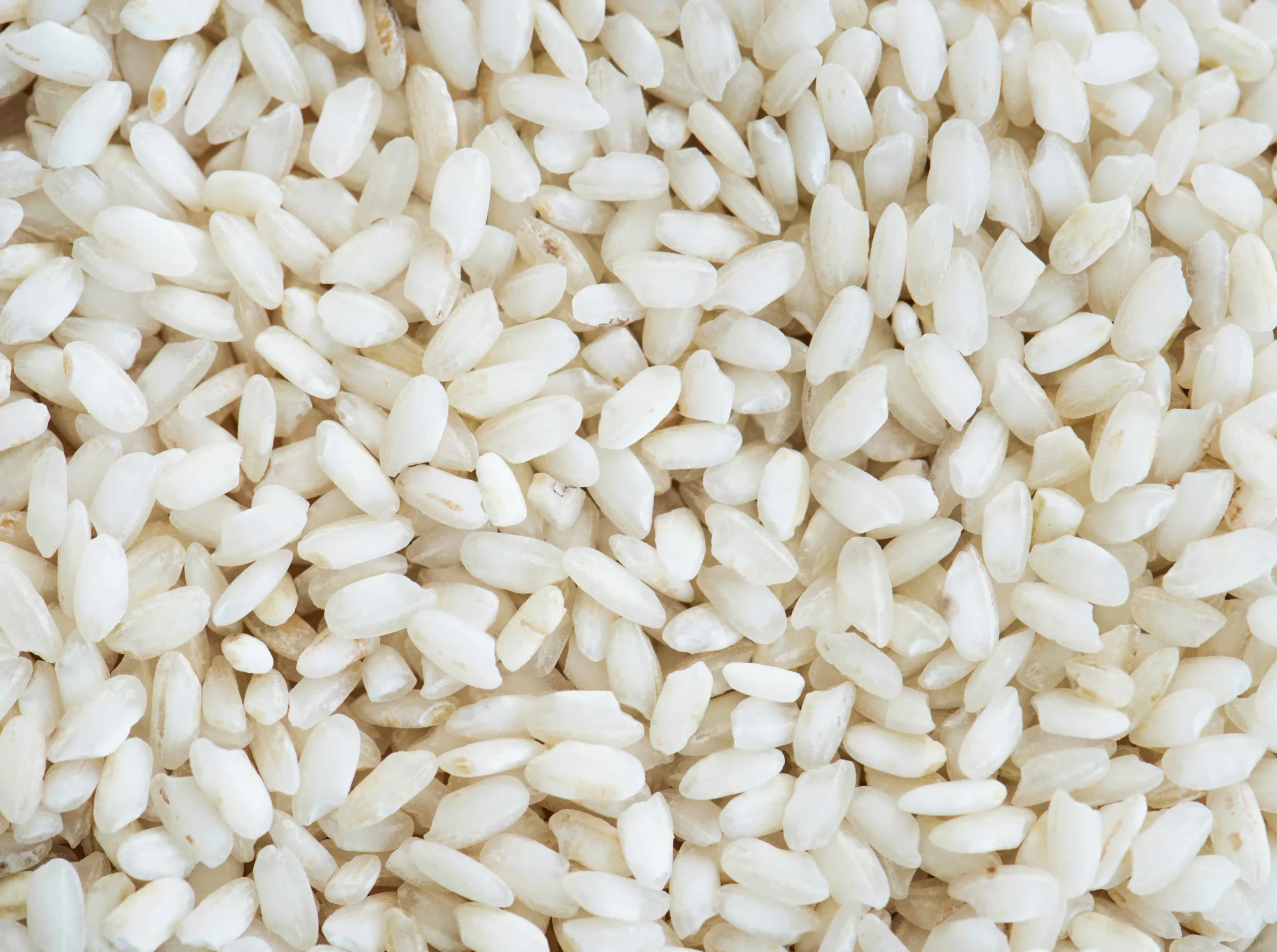 Short Grain Rice