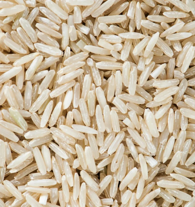 What is Rice Grain – Full Guide about Grain